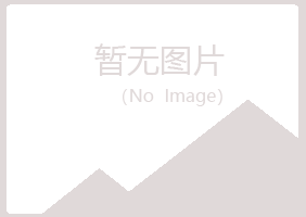 白山江源夏日会计有限公司